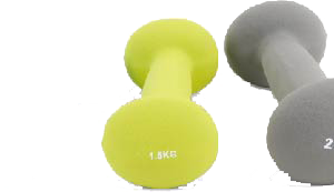 Neoprene dumbbells ellipse head - UnivFitness