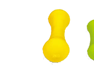 Neoprene dumbbells bone head - UnivFitness