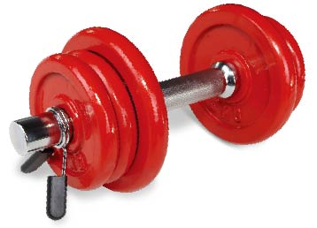 uv11004 10kg hammerton dumbbell sets (UV11004A) - Dumbbells & Barbells - UnivFitness