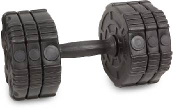 uv11402 10kg cement dumbbell sets - UnivFitness