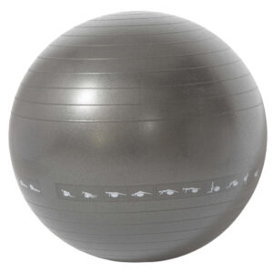 gym ball with workout - UnivFitness