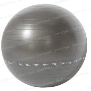 Gym ball with workout - UnivFitness