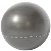 uv20103 65 2 Gym ball with workout - UnivFitness