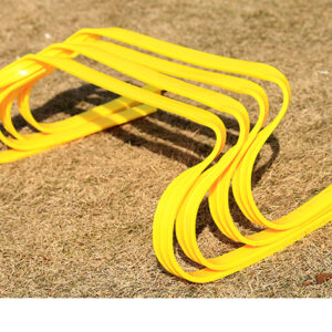 Training hurdle - UnivFitness