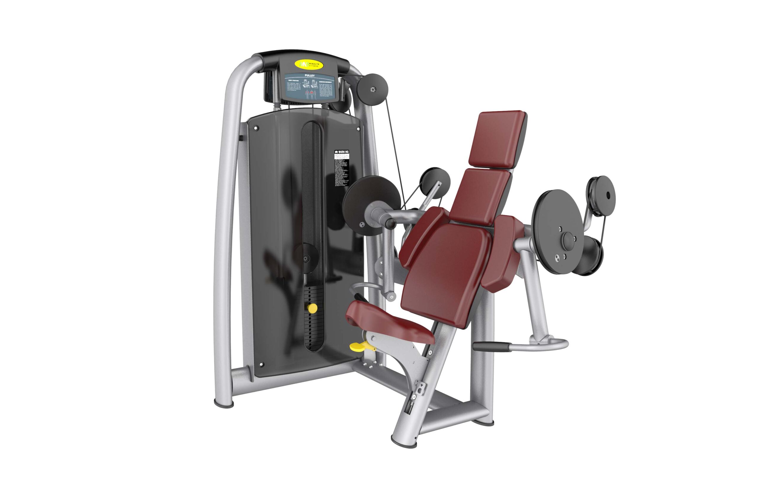 uv81204 09fd0d Arm curl - UnivFitness