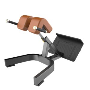 Back extension - UnivFitness