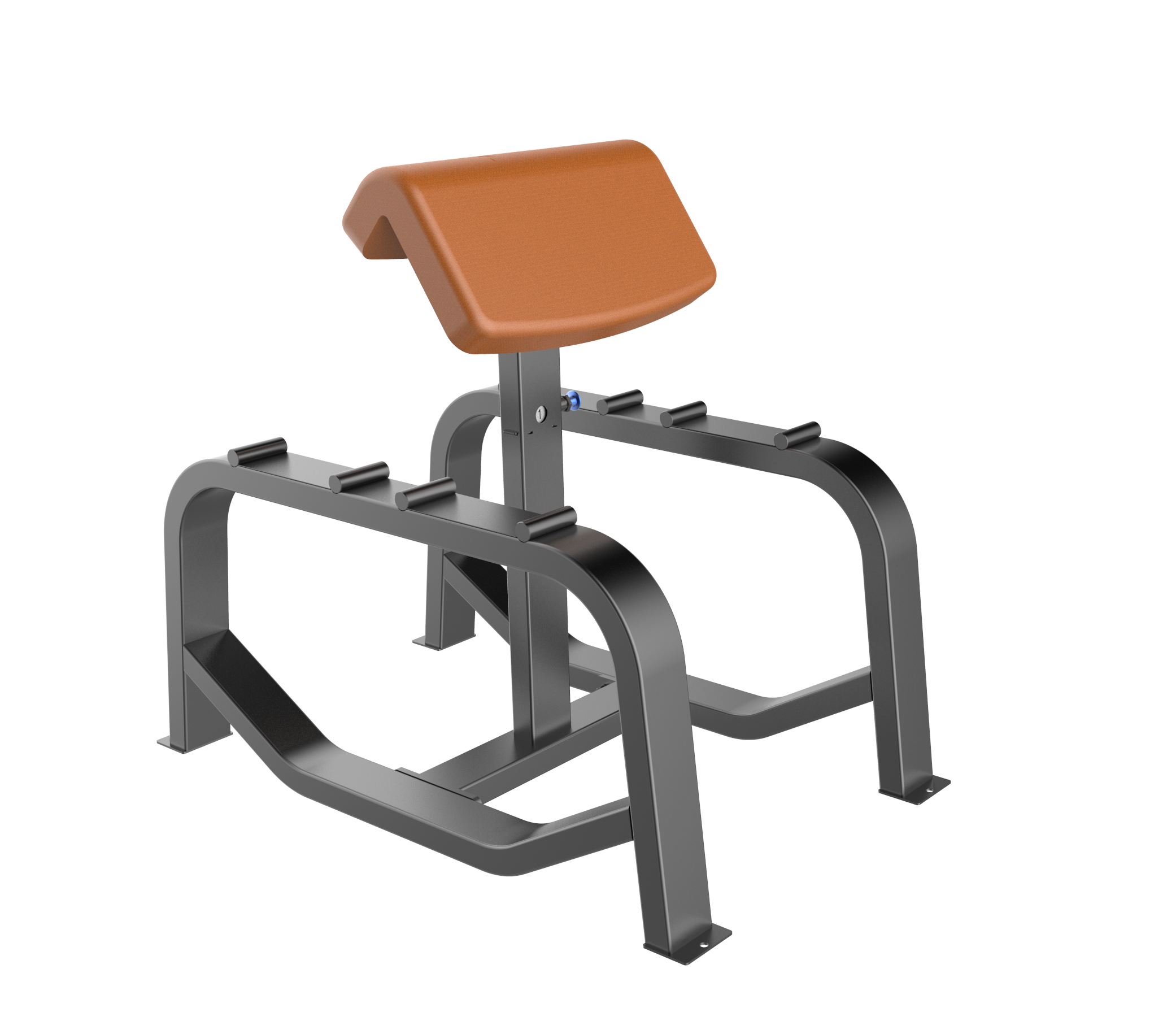 uv81492 34014a Dual function preacher curl - UnivFitness