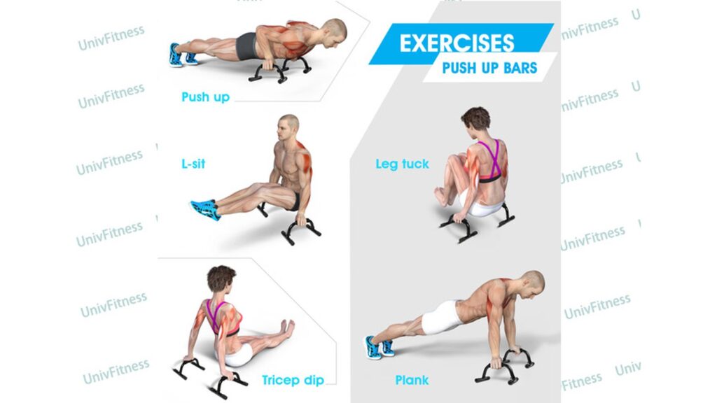 Push Up Bars Wholesale Guide: S-Shaped, Rotating & Boards Push Up Bars - wholesale range by UnivFitness
